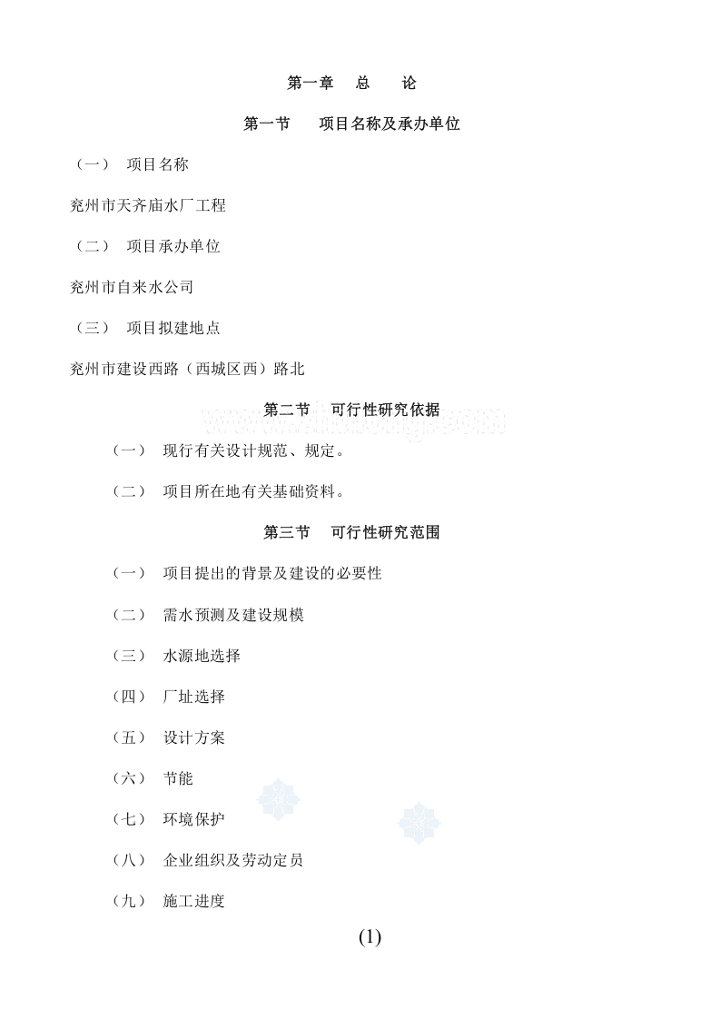 水厂可行性研究报告_secret.doc 第3页