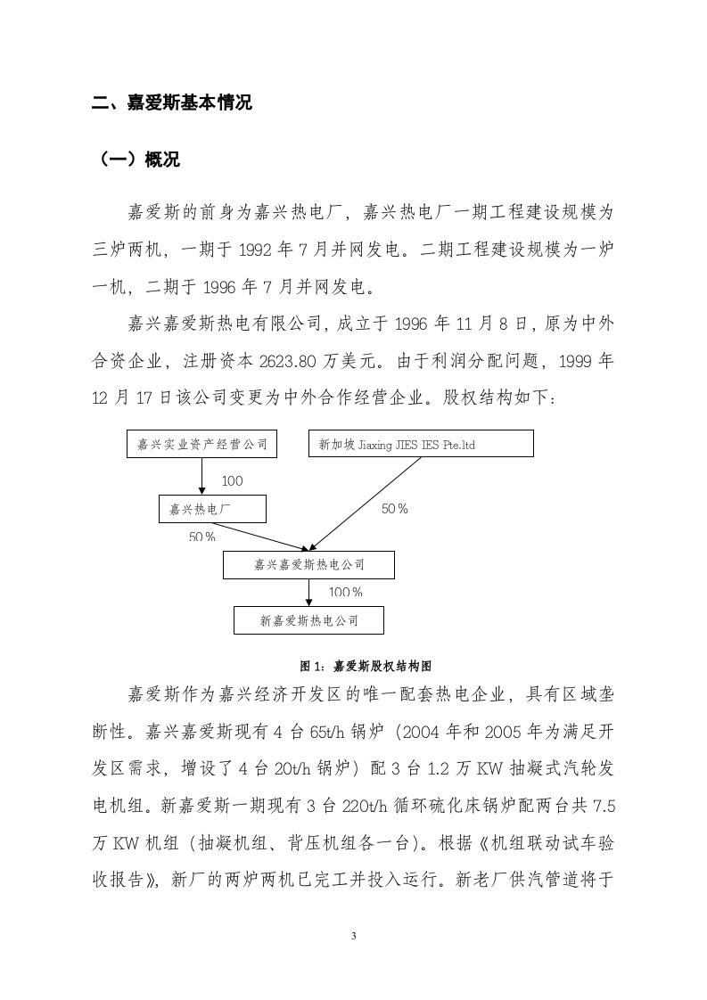 斯热电有限公司初步可行性分析报告.doc 第3页