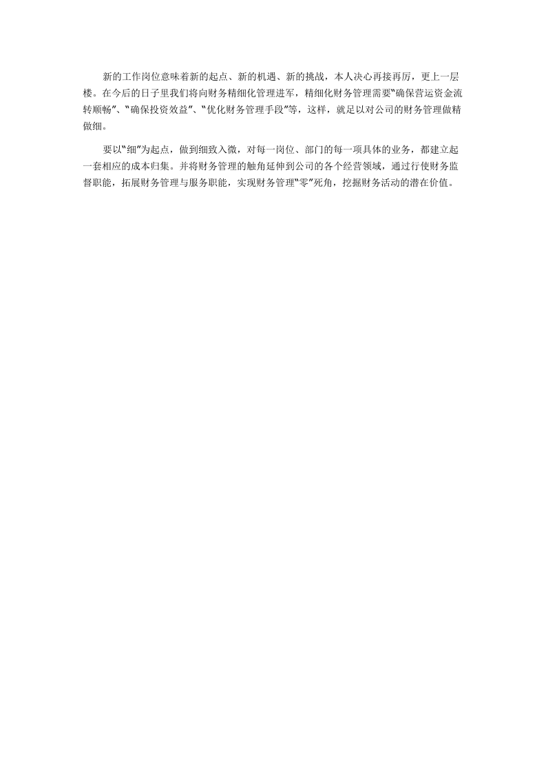 会计工作总结5.docx 第2页