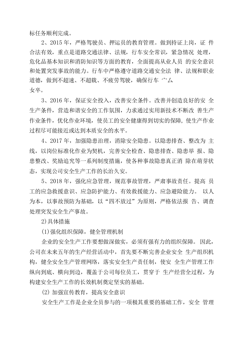 危险货物运输公司中长期规划.docx 第2页