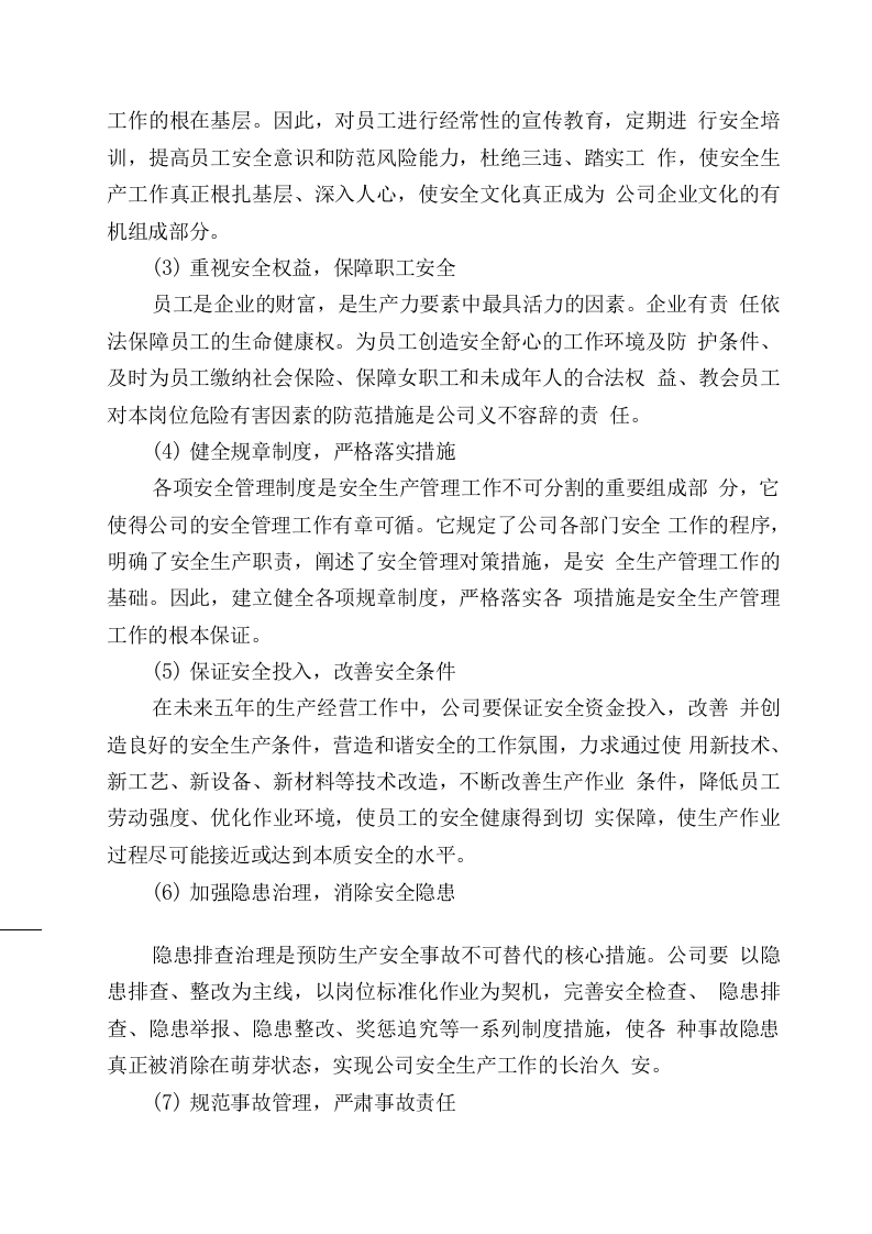 危险货物运输公司中长期规划.docx 第3页