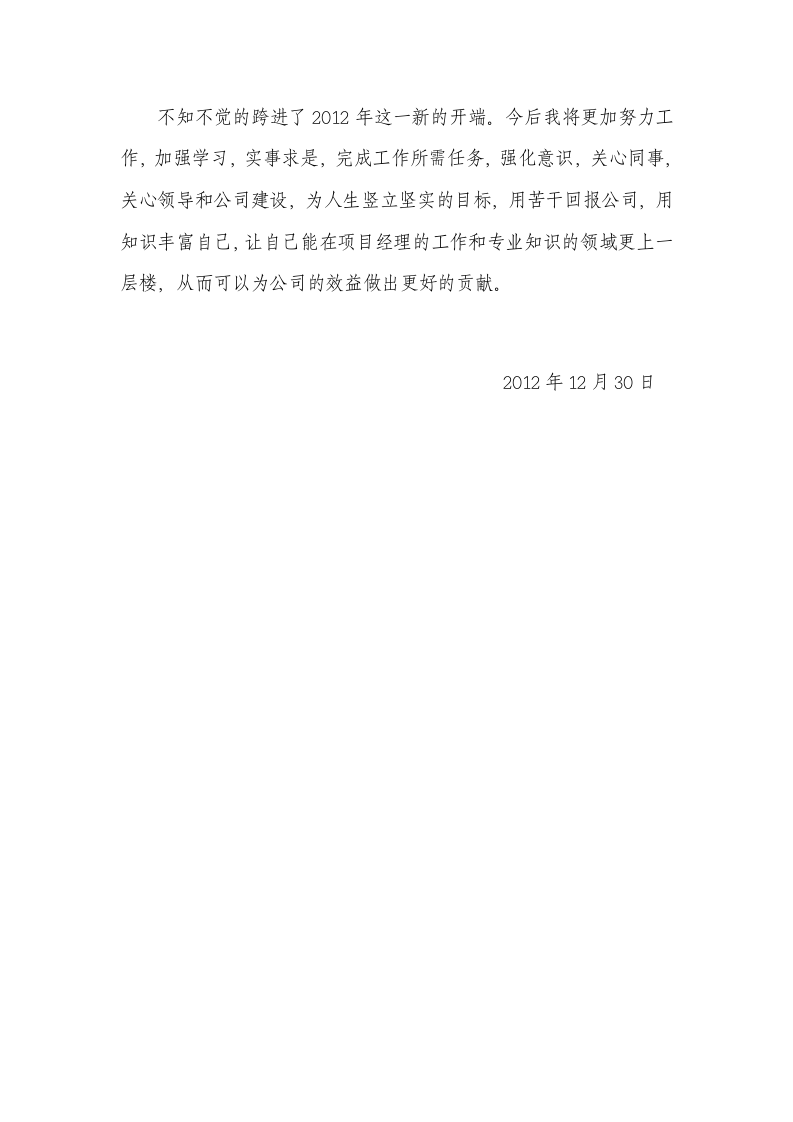 项目经理个人年终工作总结报告.doc 第3页