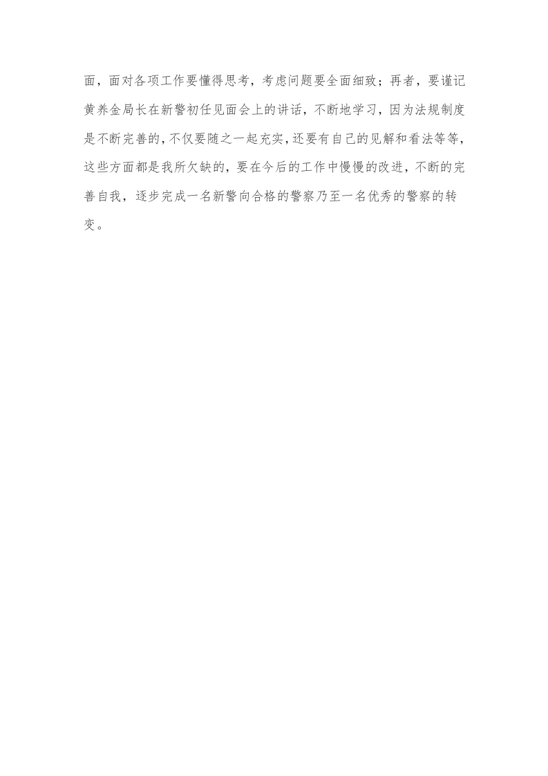 新警察工作总结.doc 第4页