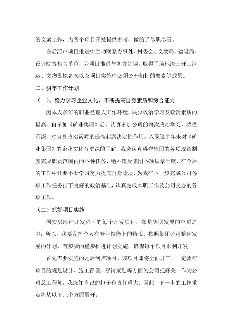 总工程师工作总结.doc 第3页
