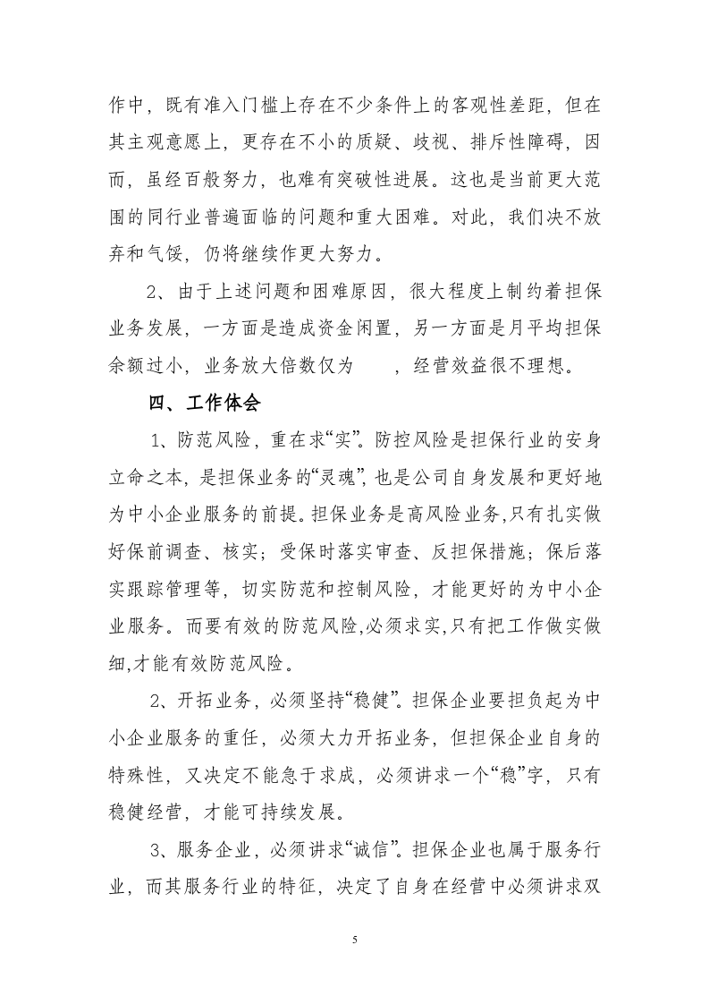 2013年度担保公司工作总结.doc 第5页