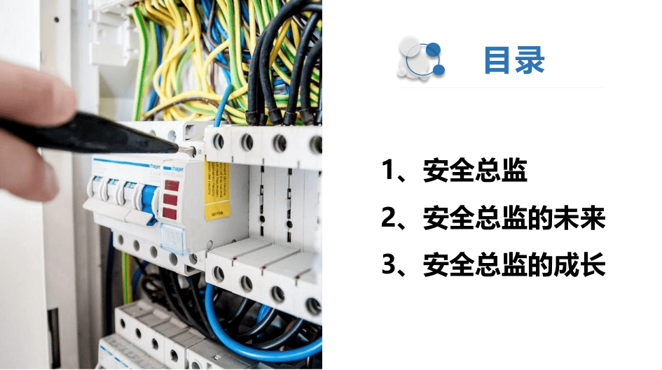 安全总监的未来与成长.pptx 第2页