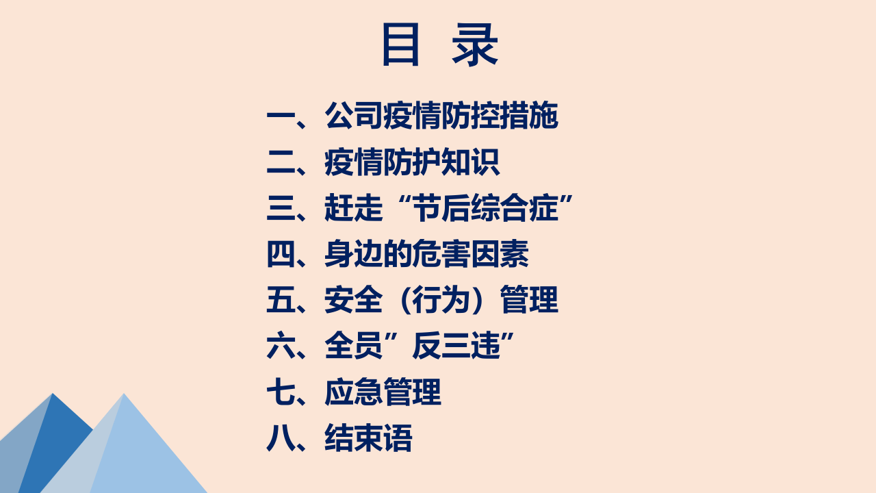 春节后复工第一课：安全生产及疫情防控专题培训(135页）.pptx 第2页