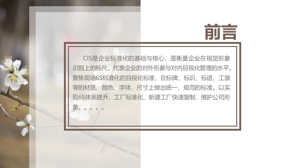 企业现场6S目视化标准CIS手册.pptx 第2页