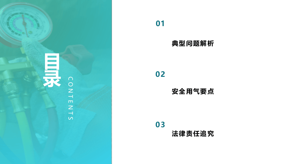 燃气安全专业培训.pptx 第3页
