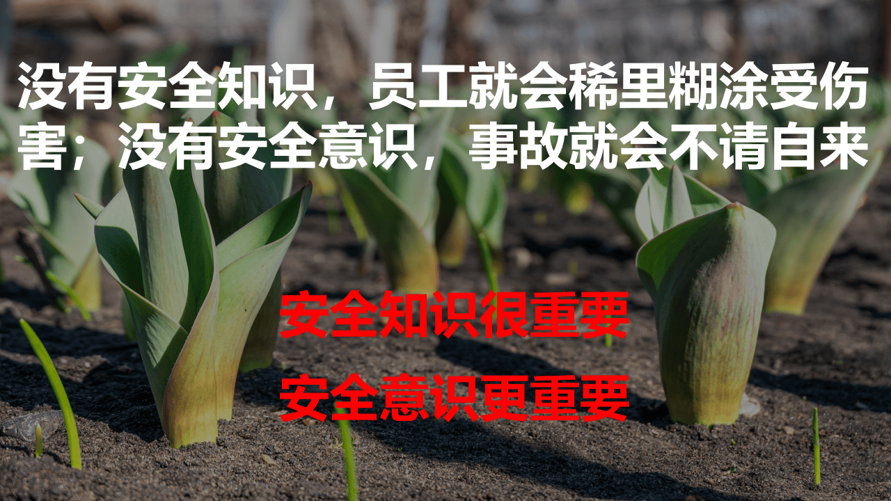 勿忘安全  珍惜生命&mdash;&mdash;安全意识培训板.pptx 第2页