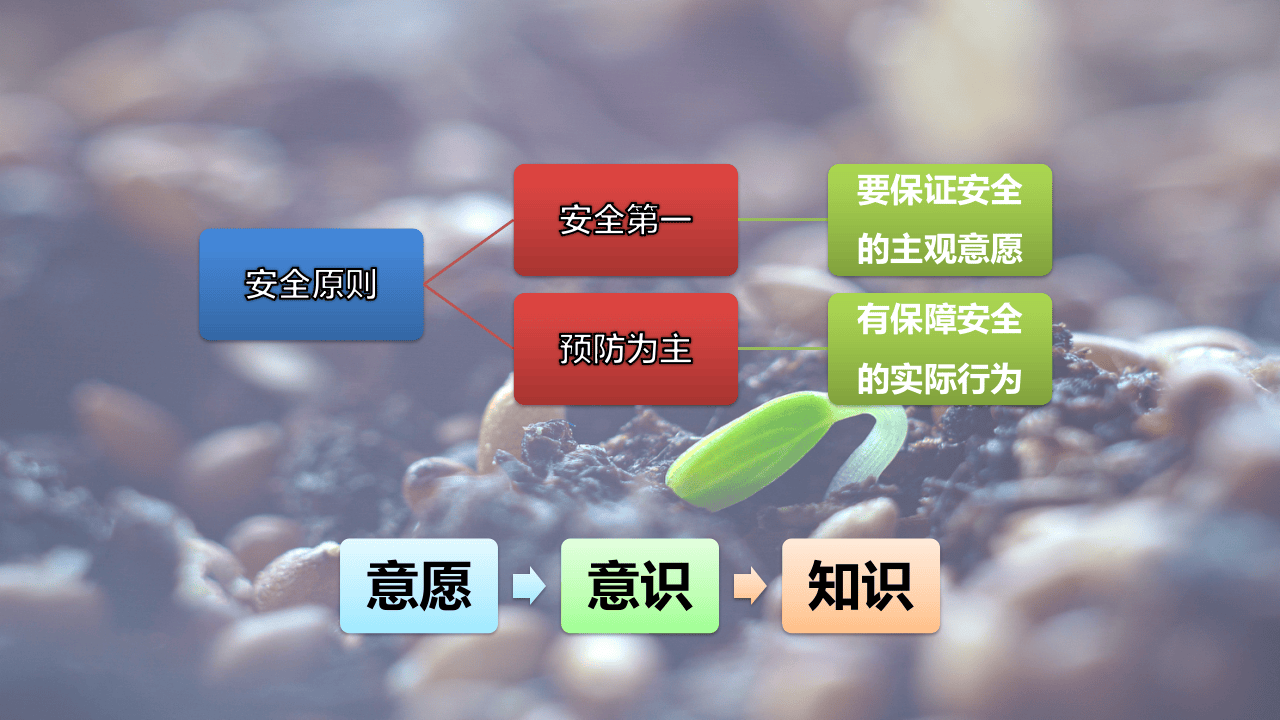 勿忘安全  珍惜生命&mdash;&mdash;安全意识培训板.pptx 第6页