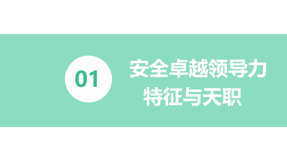 安全管理人员职业素质培养.pptx 第4页