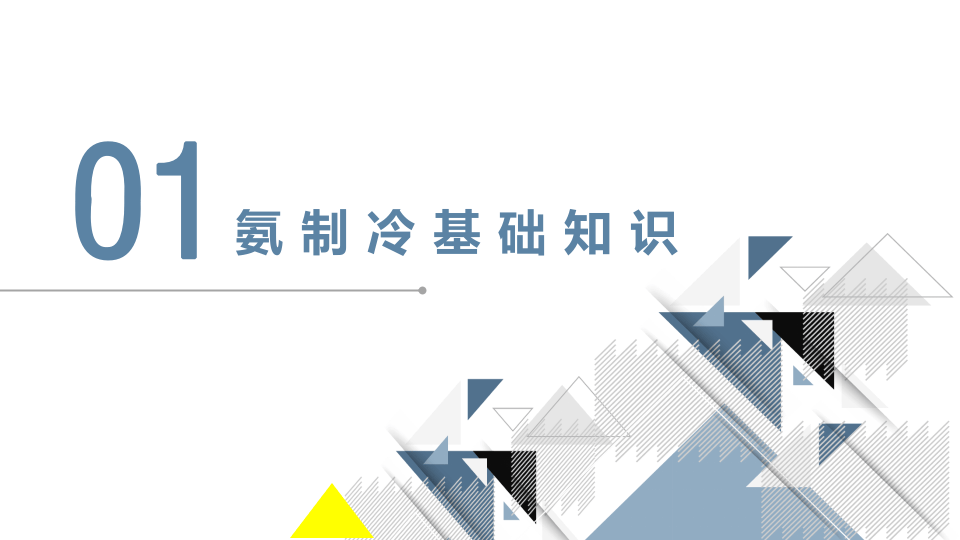 涉氨制冷企业安全管理.pptx 第4页