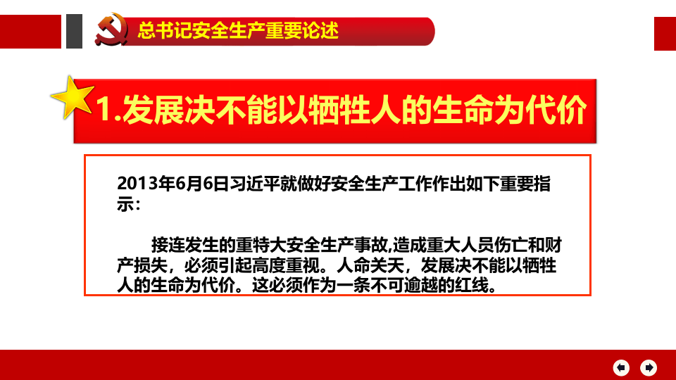 学习贯彻总书记关于安全生产重要论述.pptx 第5页