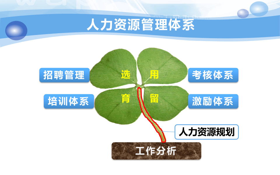 人力资源招聘体系(精品PPT).ppt 第2页