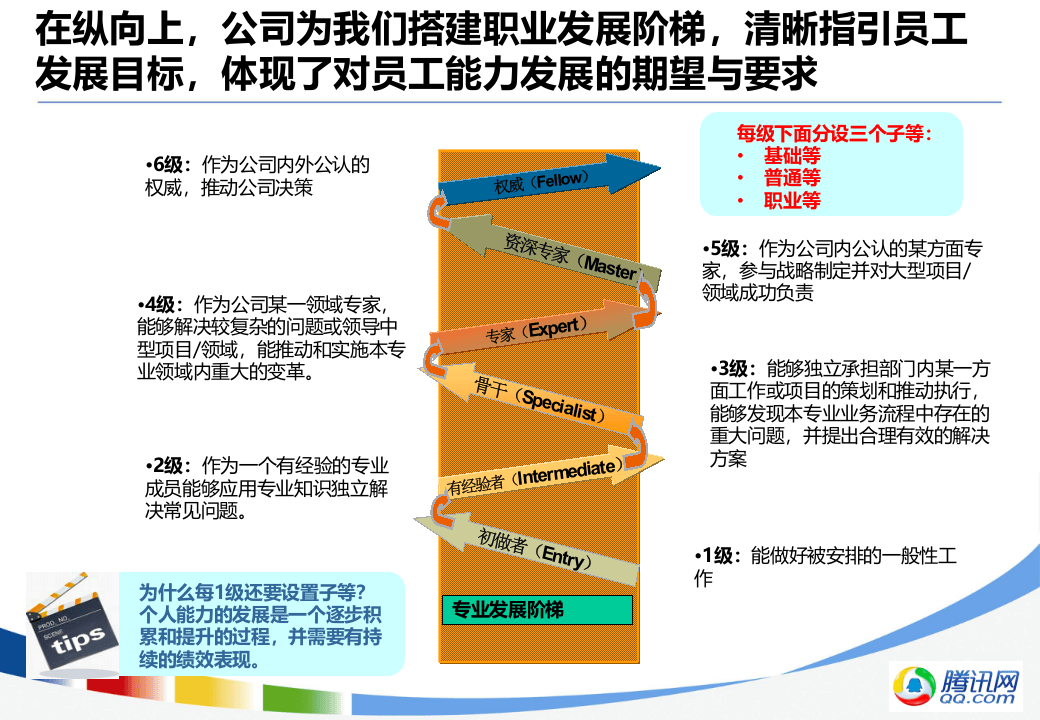 腾讯公司职业发展体系介绍-专业职级.pptx 第3页