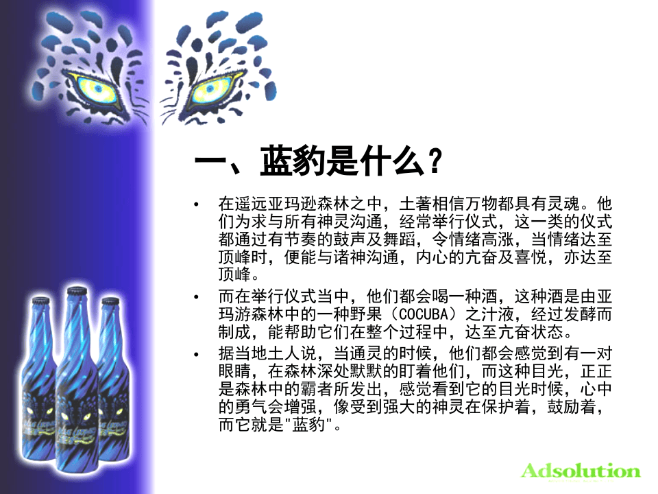 蓝豹汽酒开发之可行性报告.PPT 第2页