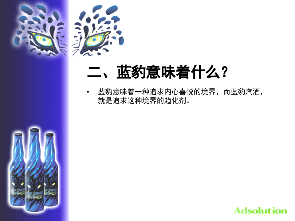 蓝豹汽酒开发之可行性报告.PPT 第3页