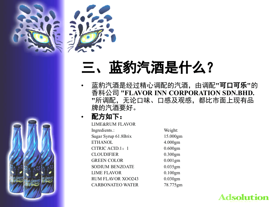 蓝豹汽酒开发之可行性报告.PPT 第4页