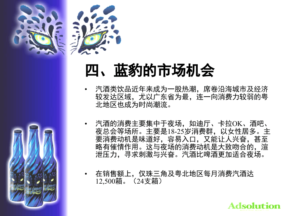 蓝豹汽酒开发之可行性报告.PPT 第5页
