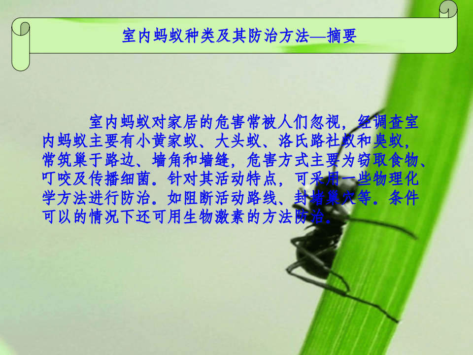 室内蚂蚁种类及其防治方法.ppt 第2页
