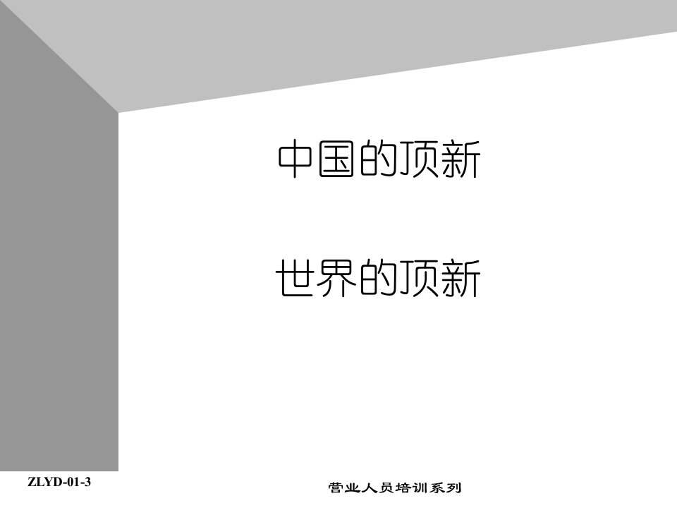 02助代-集团消费品经营理念(ppt 15)).PPT 第4页