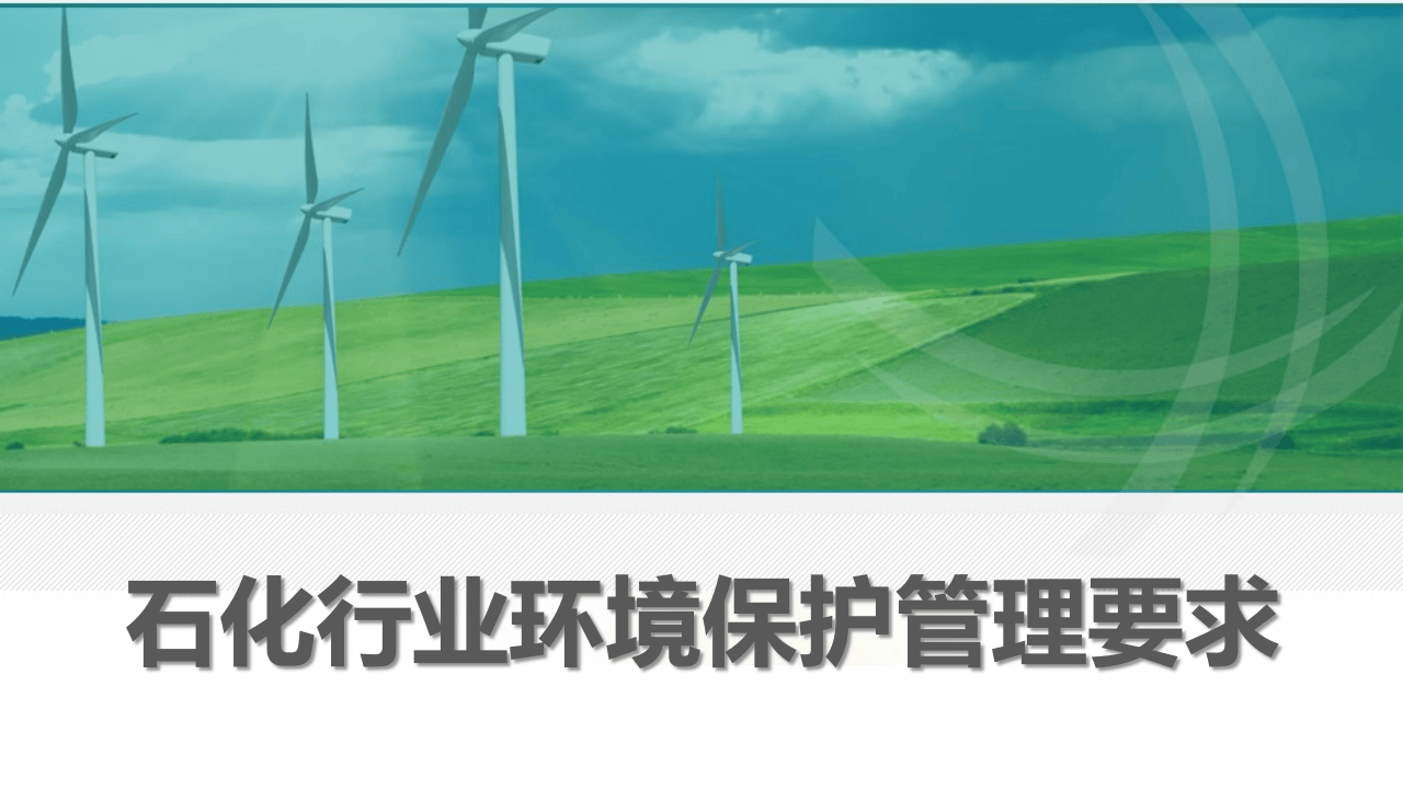 30.化工企业环境管理要求.pptx 第1页