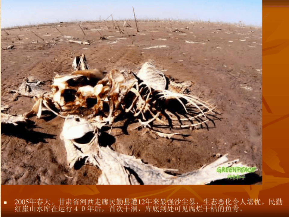 18.新环境保护法及环保管理培训课件.ppt 第3页