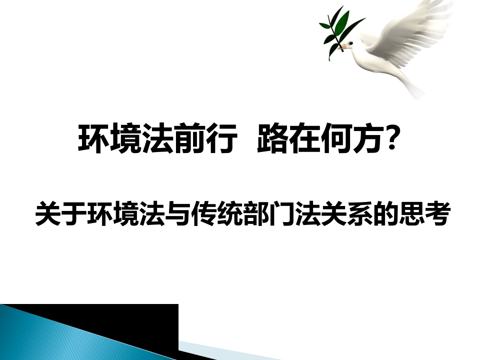 15.环境法前行.ppt.ppt 第1页