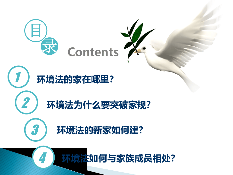 15.环境法前行.ppt.ppt 第2页