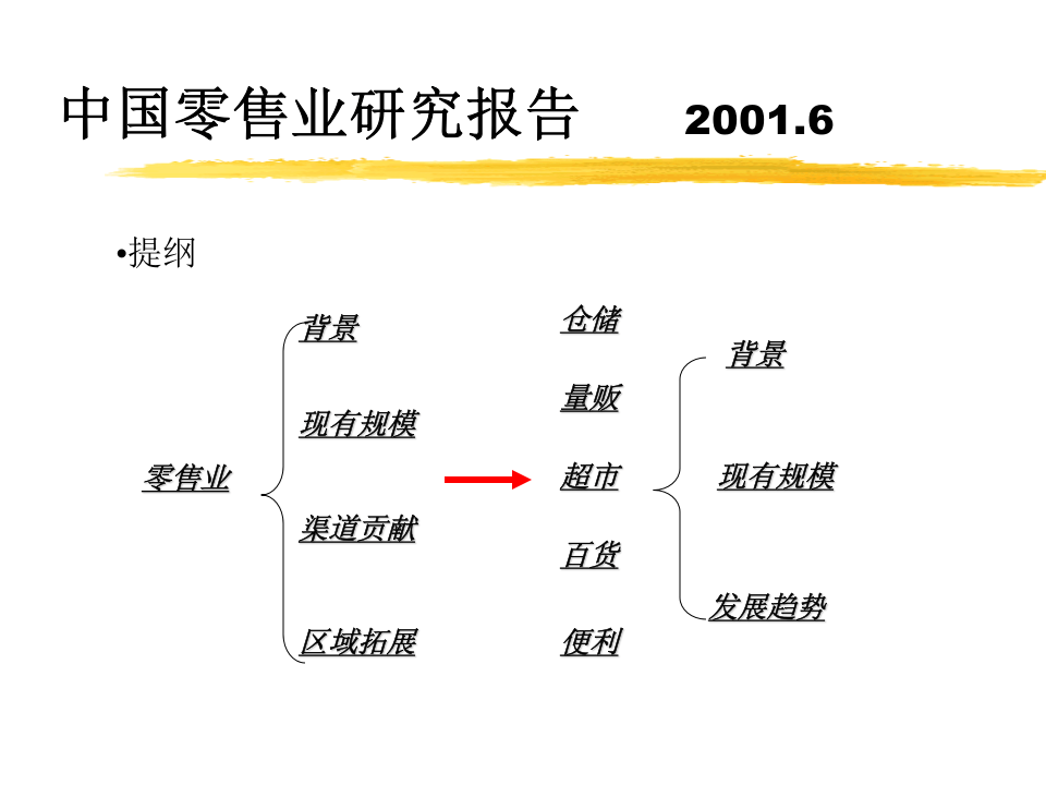 中国零售业研究报告.ppt 第2页