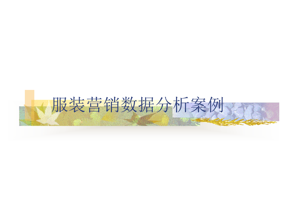 服装营销数据分析案例.ppt 第1页