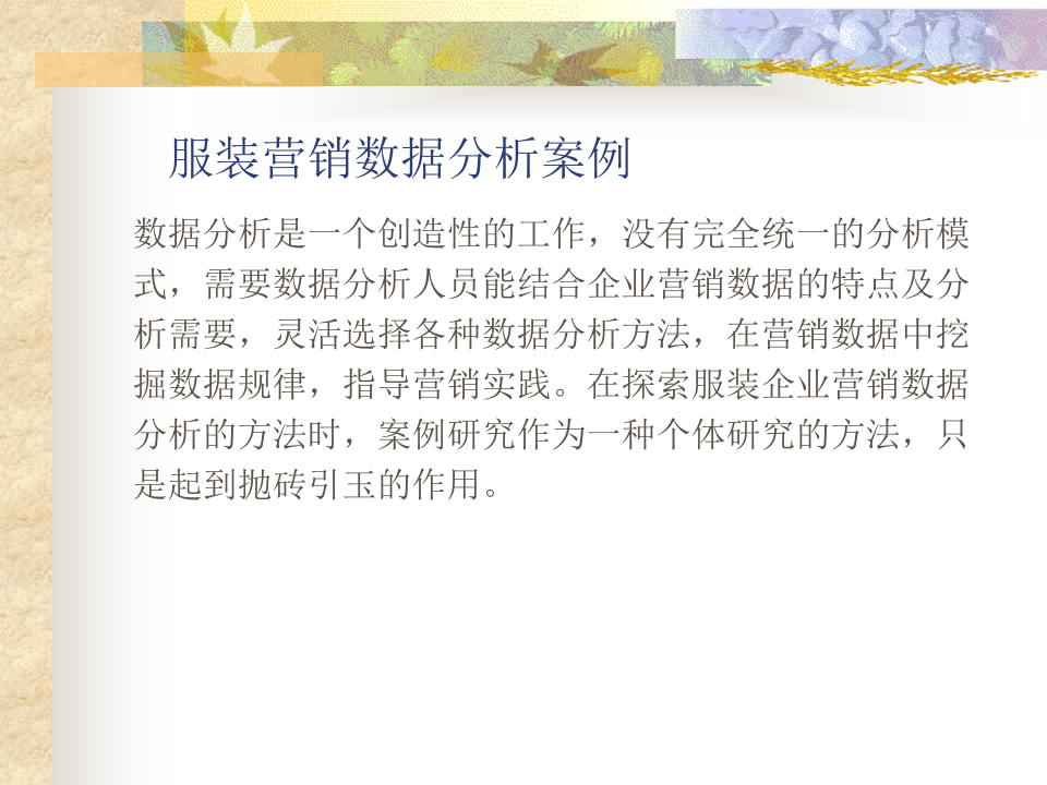 服装营销数据分析案例.ppt 第2页