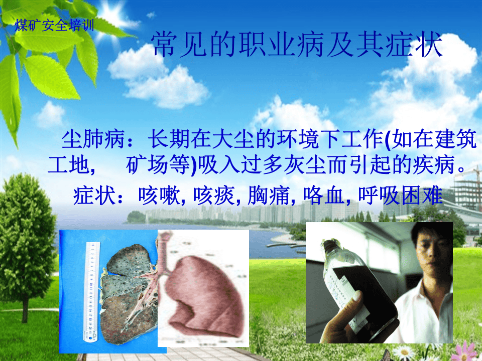 职业病防治讲座（企业版）.ppt 第4页