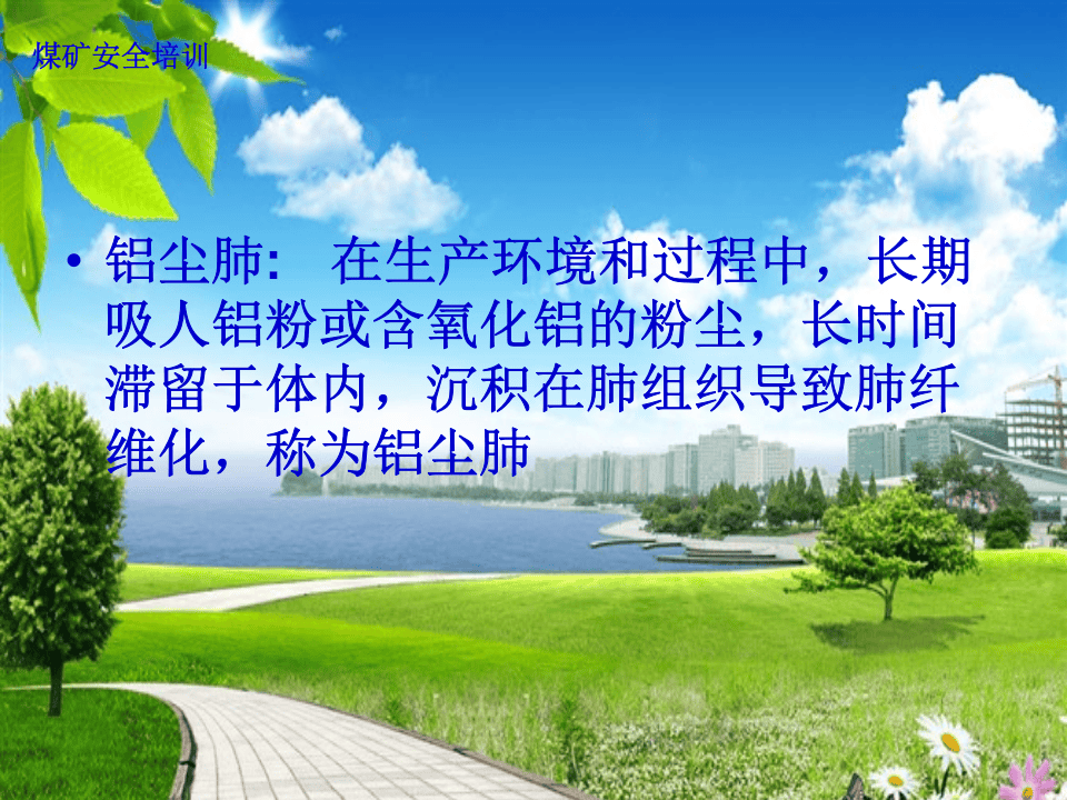 职业病防治讲座（企业版）.ppt 第5页