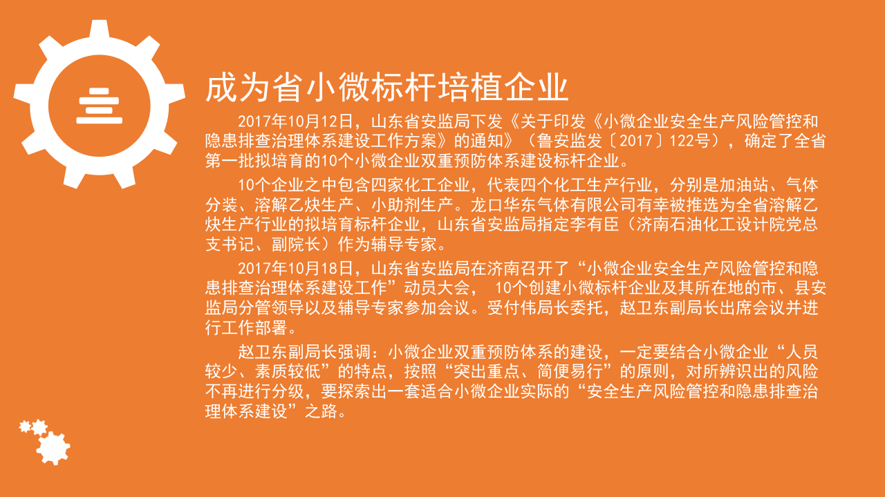 小微企业安全生产风险管控和隐患排查治理体系建设.ppt 第3页