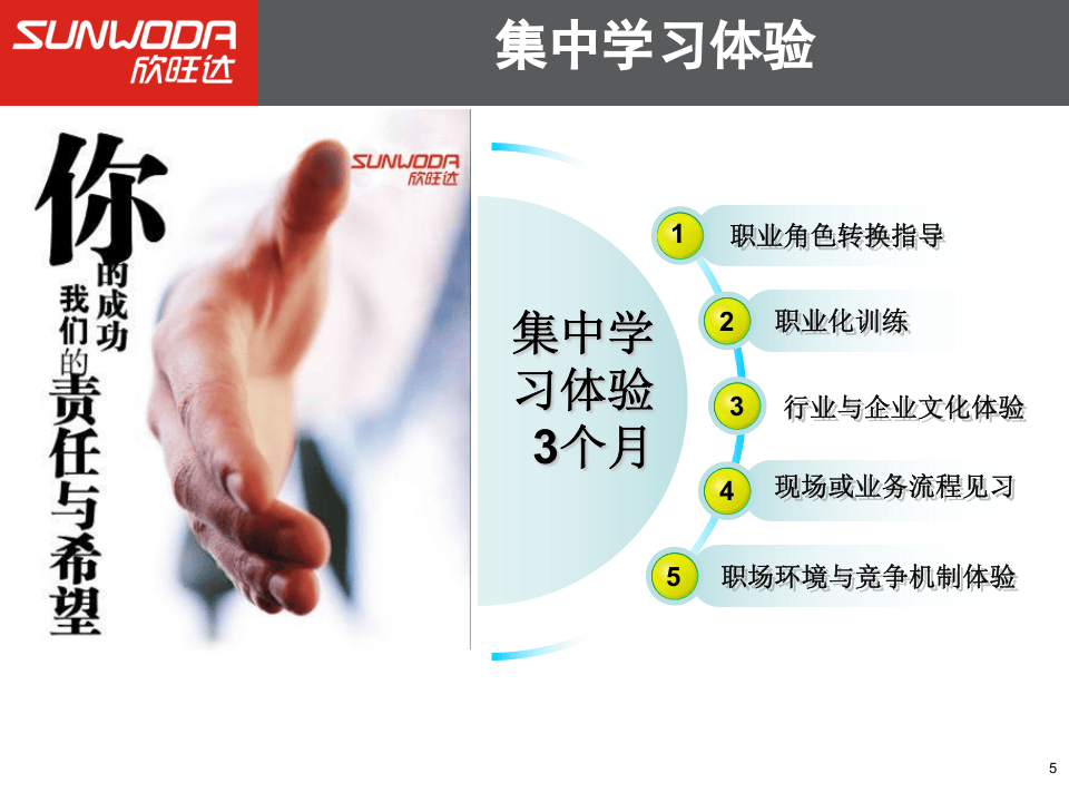 培训发展体系介绍.ppt 第5页
