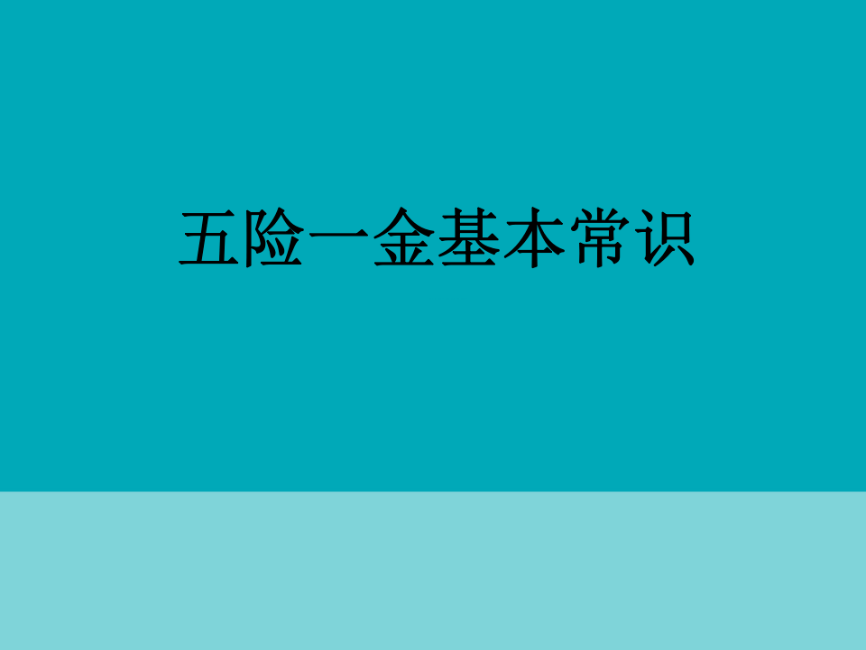 五险一金基本常识.ppt 第1页
