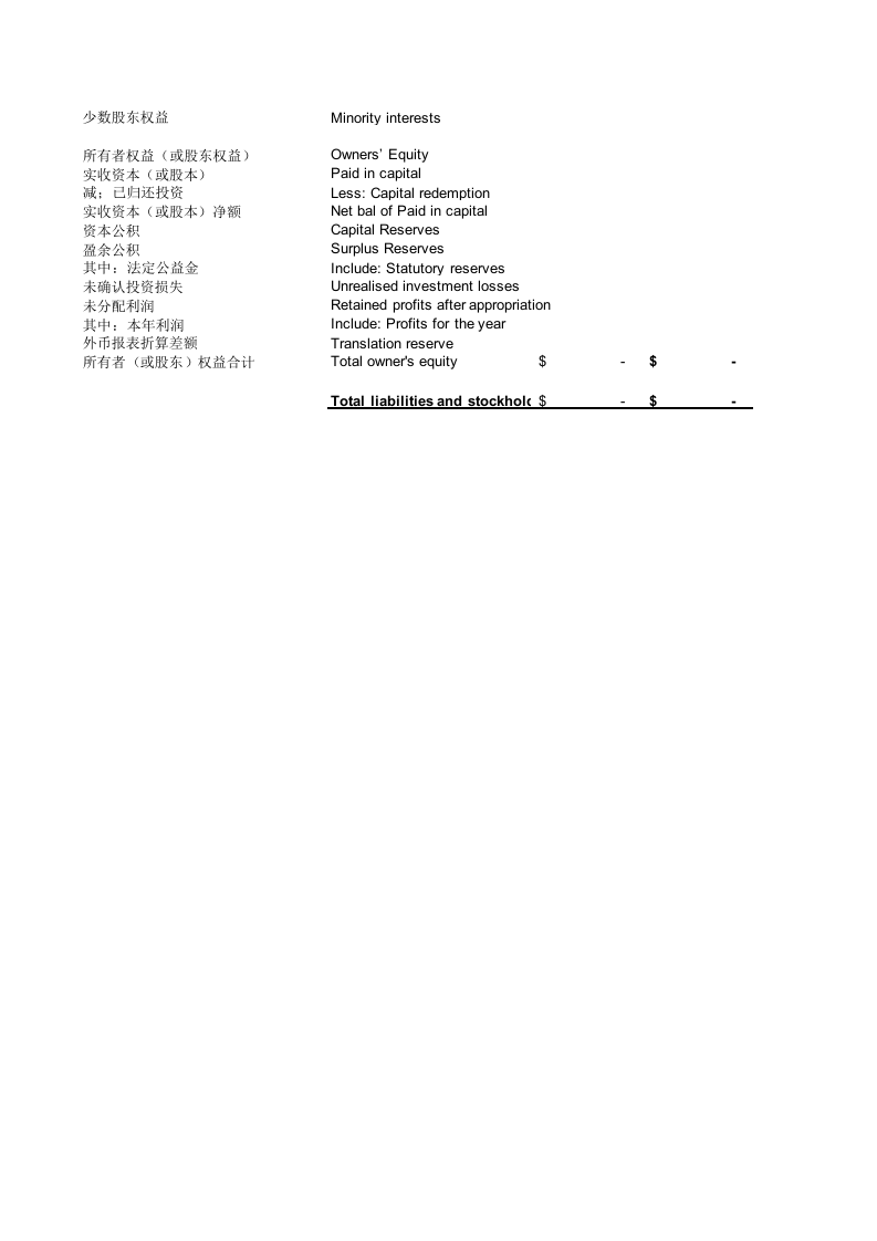 英文财务报表.xls 第3页