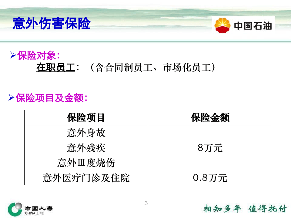 中国石油员工商业保险方案介绍.ppt 第3页