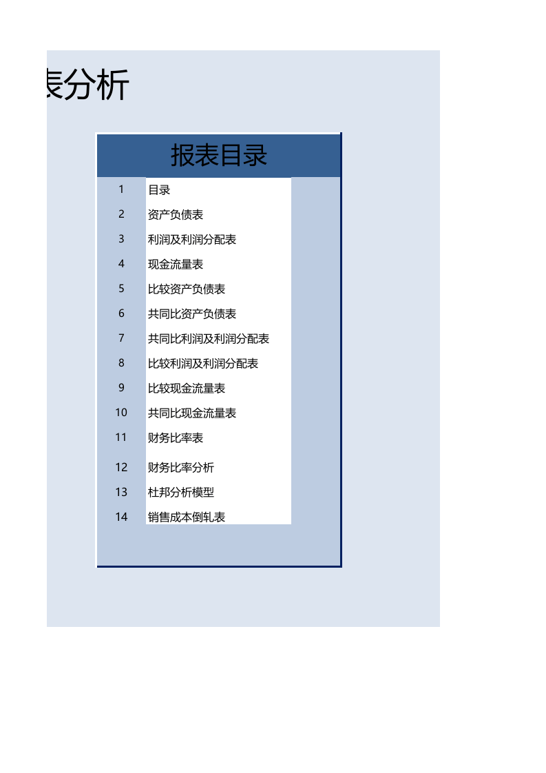 财务报表分析(1).xlsx 第2页