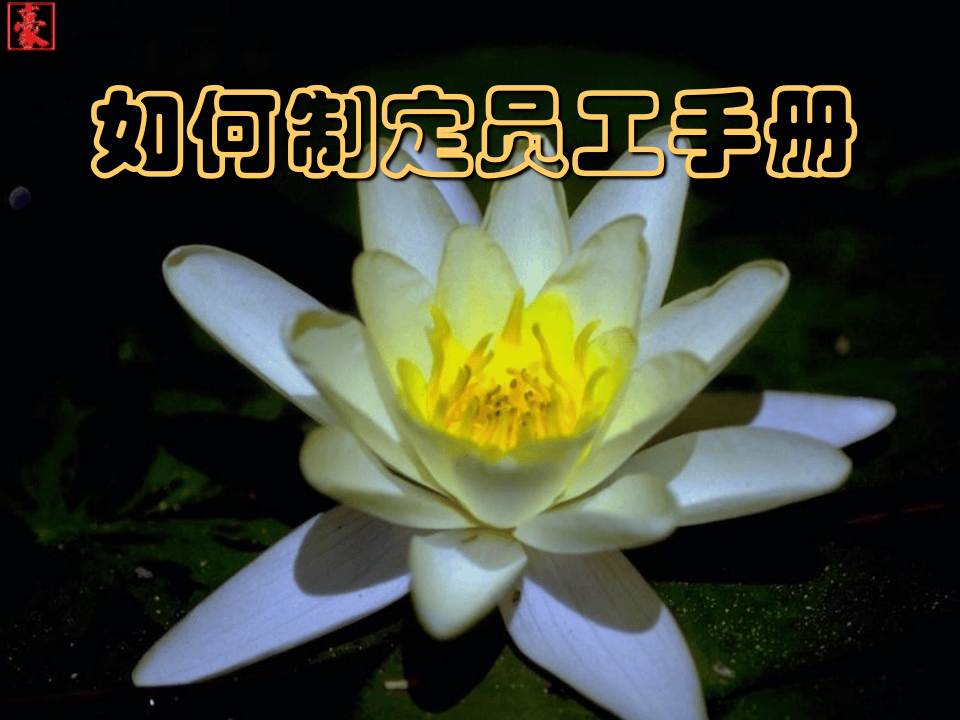 如何制定员工手册.ppt 第1页