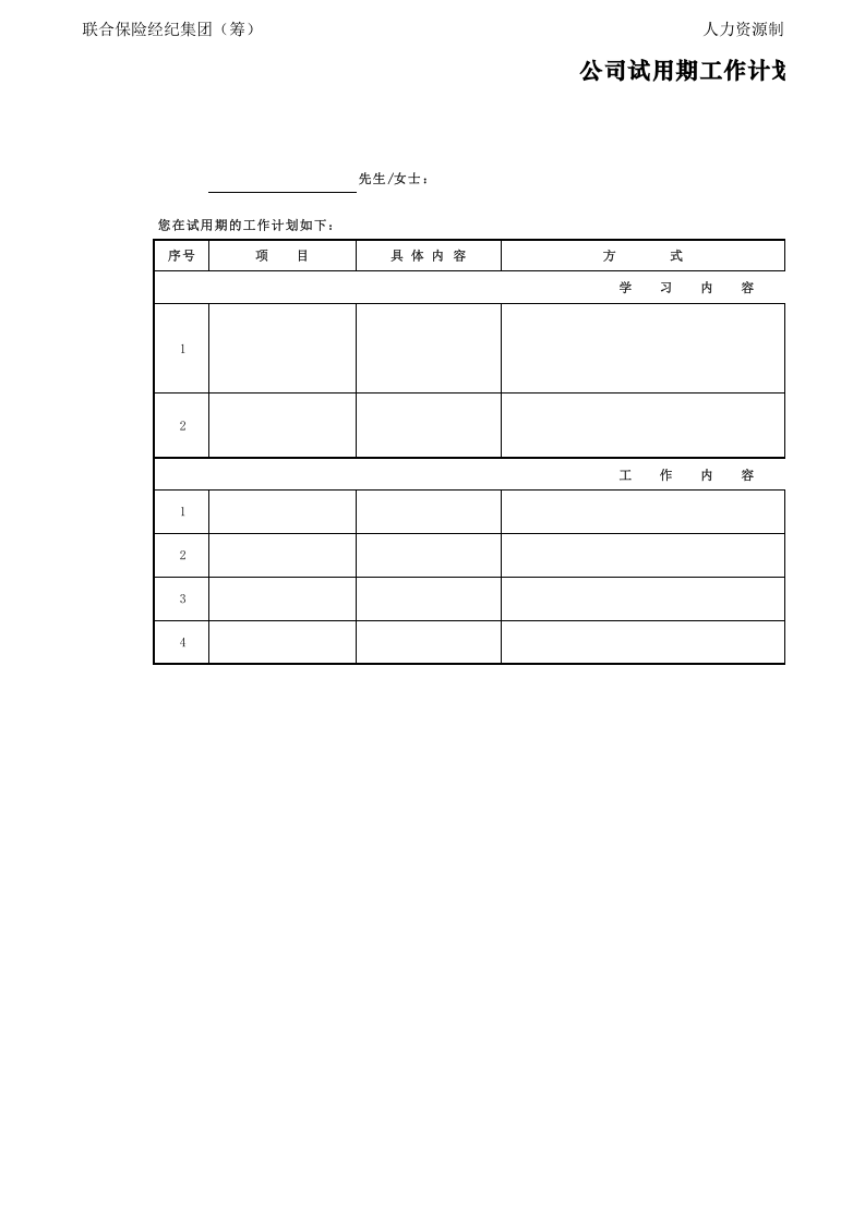 试用期工作计划表.xls 第1页