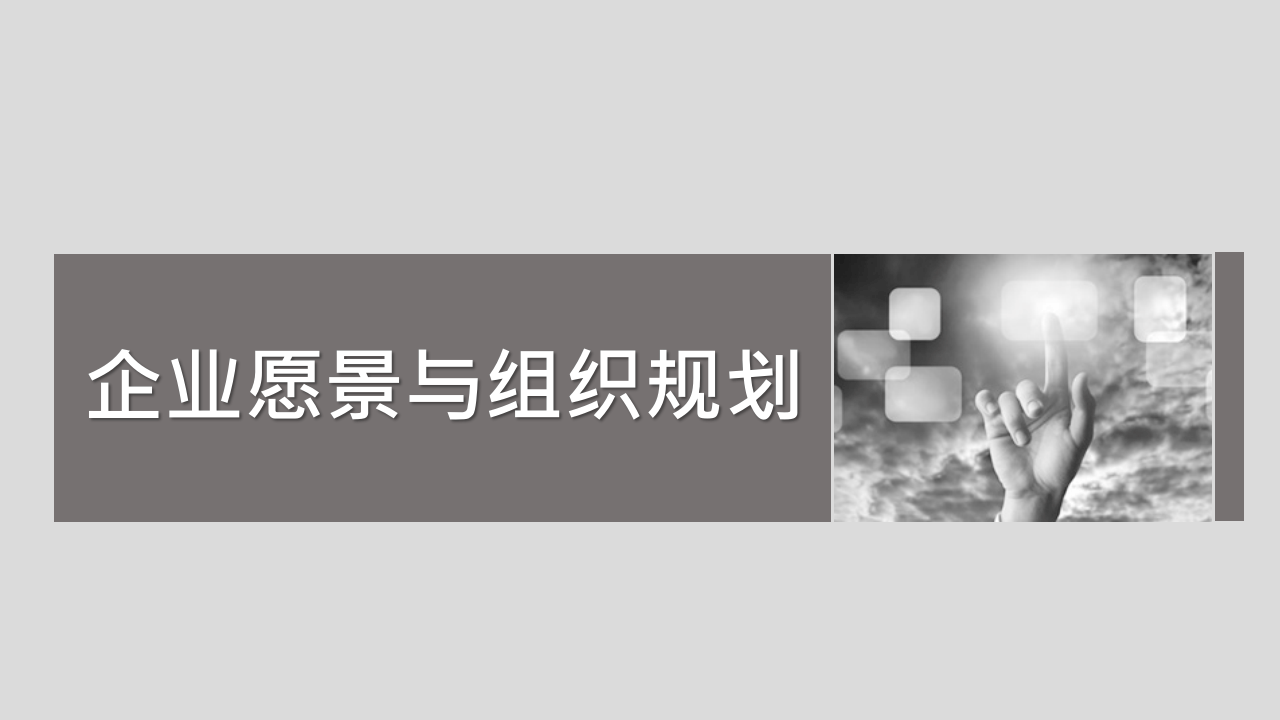 组织架构与规划.pptx 第1页