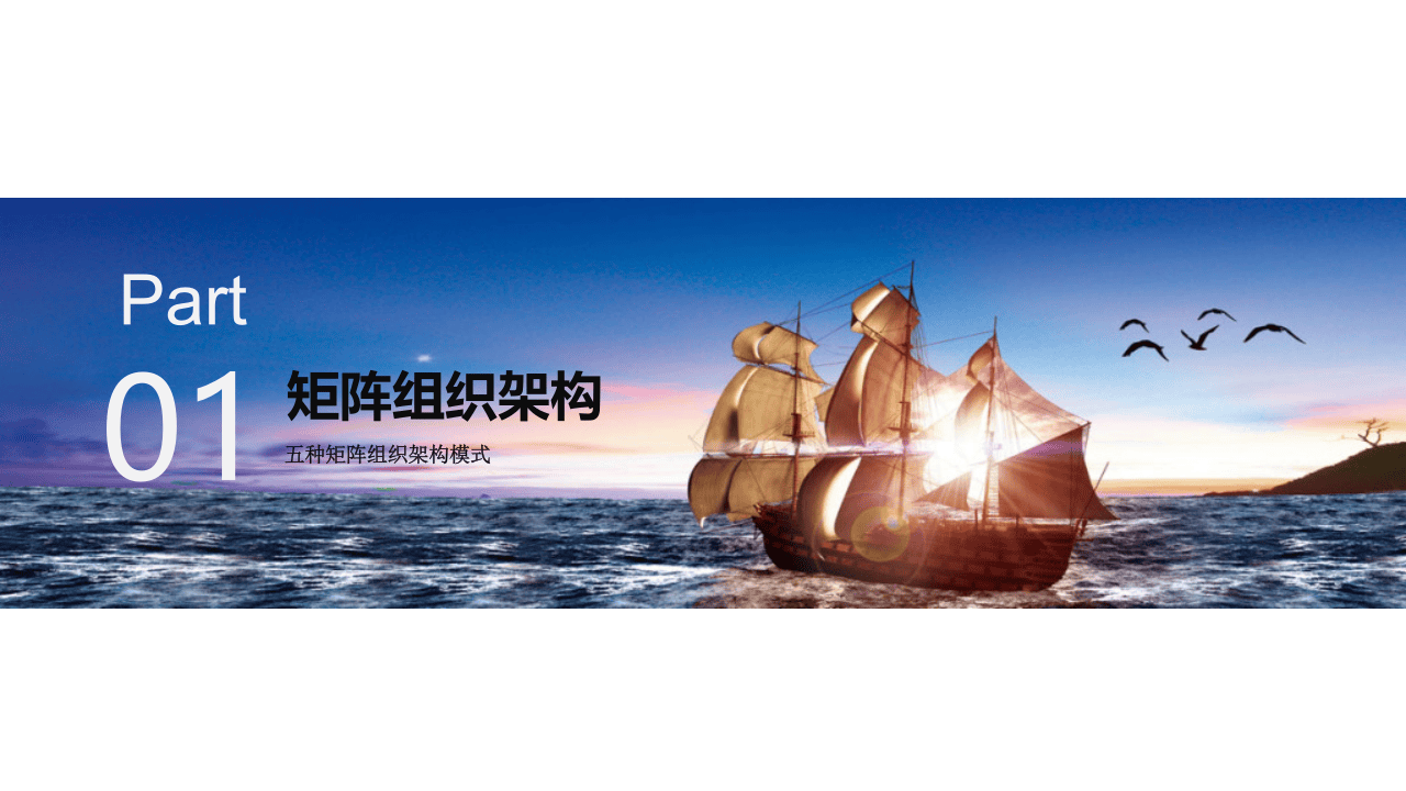 企业矩阵组织架构与高管职能分工.pptx 第3页