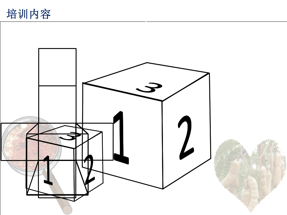 最好的人事管理制度模版.pptx 第2页