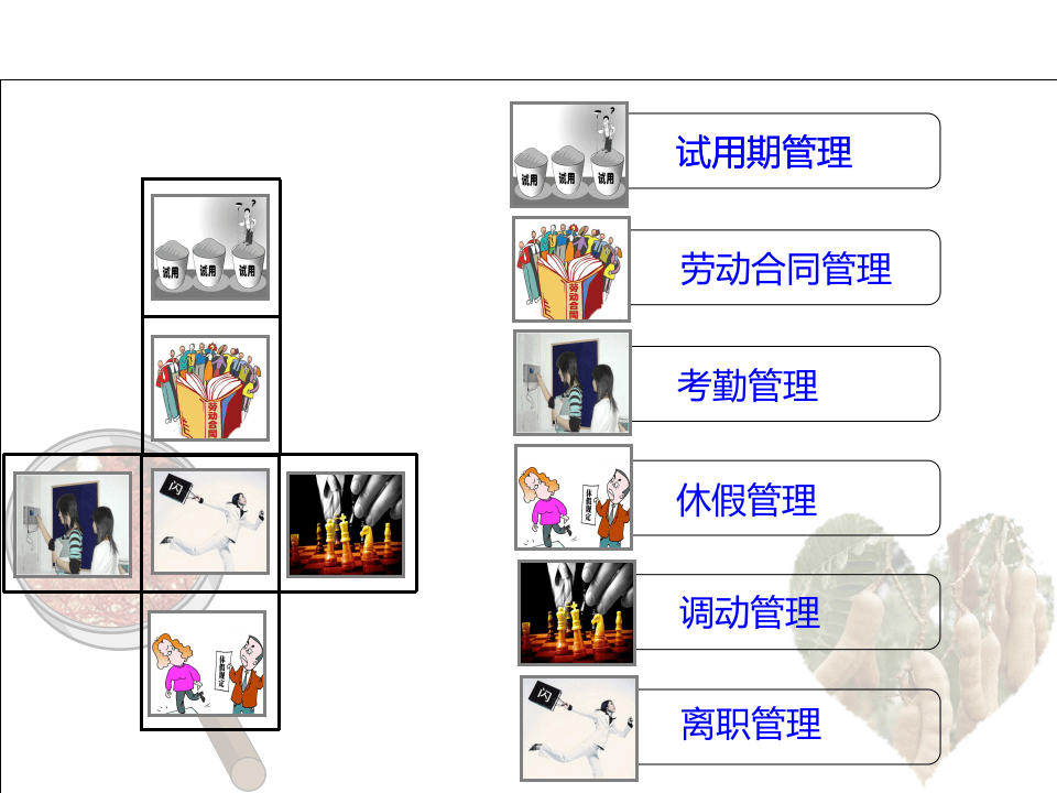 最好的人事管理制度模版.pptx 第3页