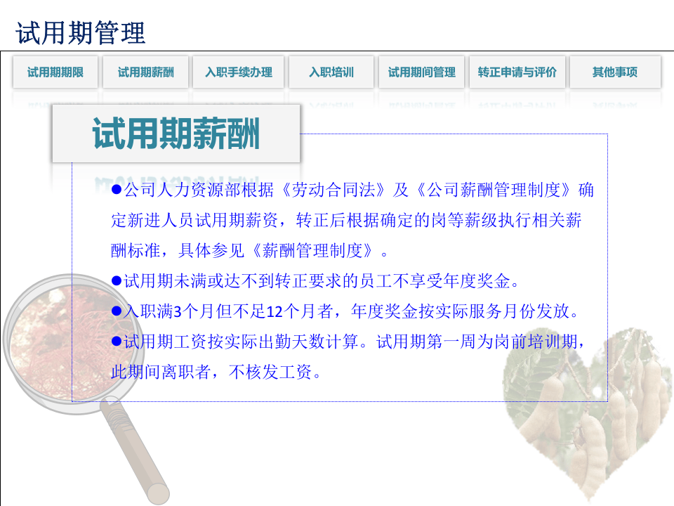 最好的人事管理制度模版.pptx 第5页