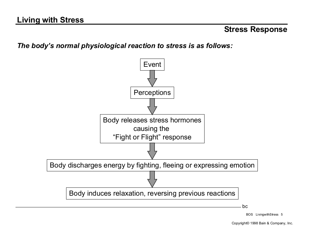 工作态度-LivingwithStress.ppt 第5页