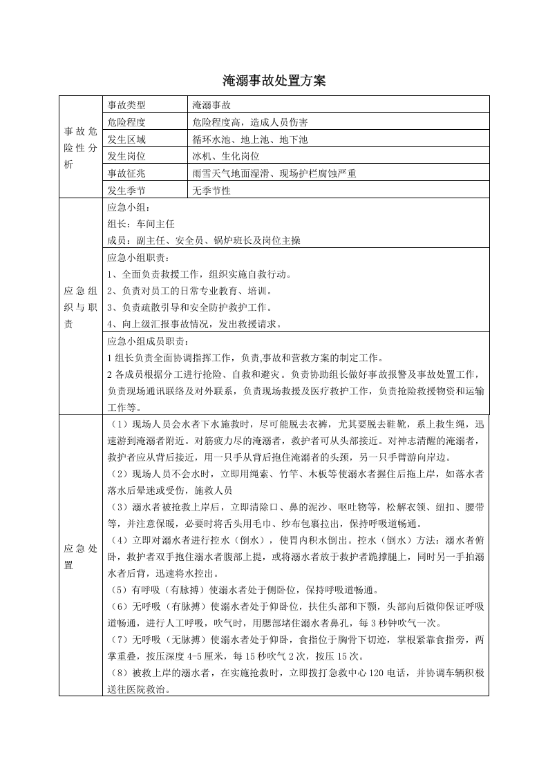 淹溺事故处置方案.docx 第1页